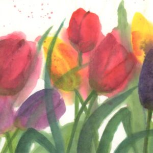 Farbenfrohe Tulpen / Dieter Hecht