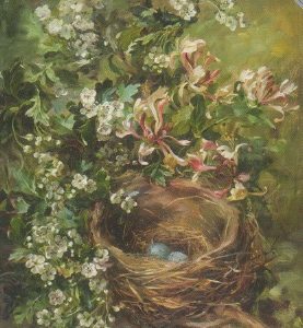 Hawthorn and Honeysuckle / Anne Cotterill, 14,5 x 19,5cm
