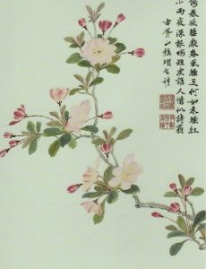 Apfelblüten / Shengmo Xiang, 12 x 17cm