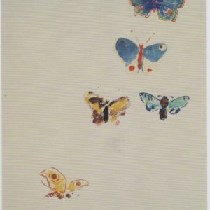 5 Schmetterlinge / Odilon Redon, 12 x 17cm
