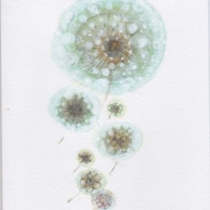 Seeds in the wind / Moniek Peek, 12 x 17cm