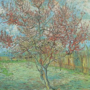Blühender Pfirsichbaum / Vincent van Gogh