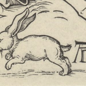 Ausschnitt:Heilige Familie mit den drei Hasen / Albrecht Dürer