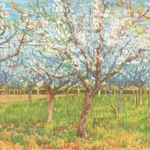 Blühende Aprikosenbäume / Vincent van Gogh