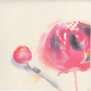 Rosenblüte Aquarell