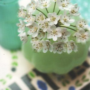 Blüten/Vase