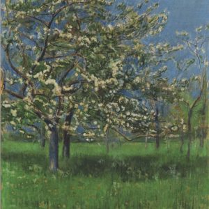 Blühender Baum / Ferdinand Hodler
